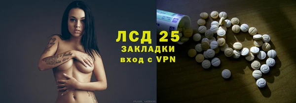 спиды Богданович