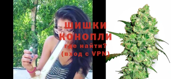 спиды Богданович