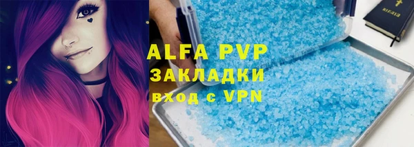 спиды Богданович